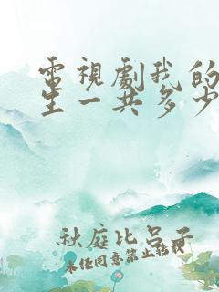 电视剧我的后半生一共多少集