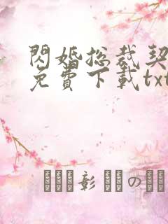 闪婚总裁契约妻免费下载txt