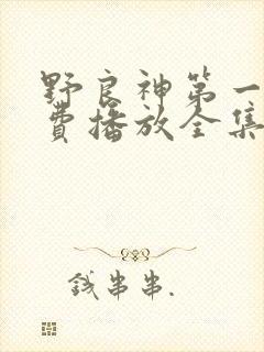 野良神第一季免费播放全集