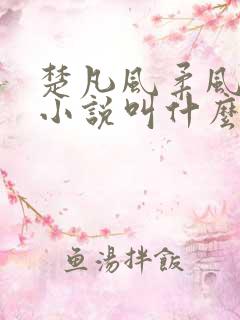 楚凡风柔风乔的小说叫什么名字