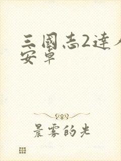 三国志2达人版安卓