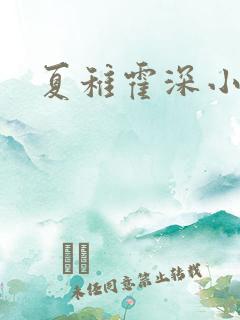 夏稚霍深小说