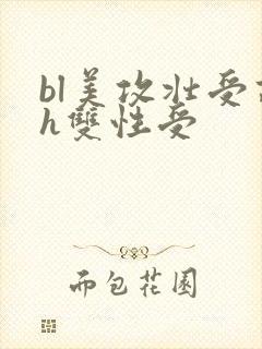 bl美攻壮受高h双性受