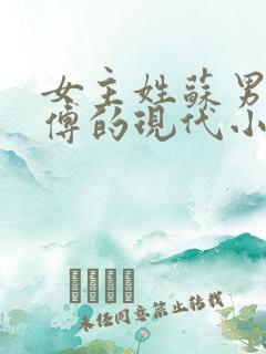 女主姓苏男主姓傅的现代小说总裁