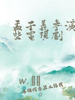 孟子义参演了哪些电视剧