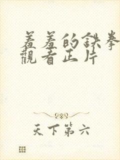 羞羞的铁拳免费观看正片