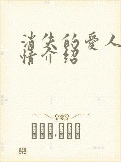 消失的爱人的剧情介绍