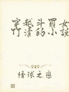 穿越斗罗女主朱竹清的小说