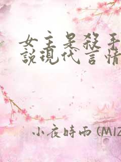 女主是杀手的小说现代言情