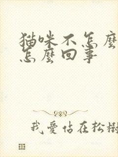 猫咪不怎么拉尿怎么回事