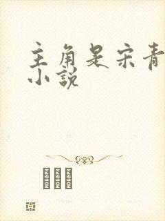 主角是宋青书的小说