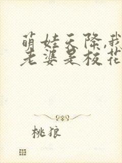 萌娃天降,我的老婆是校花短剧