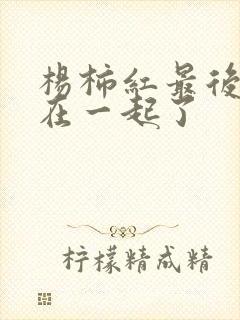 杨柿红最后和谁在一起了