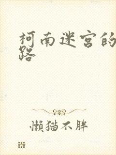 柯南迷宫的十字路