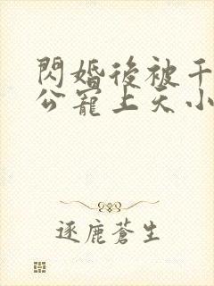 闪婚后被千亿老公宠上天小说