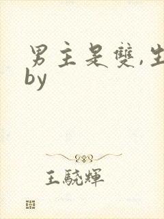 男主是双,生子by