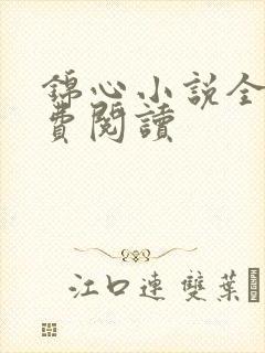 锦心小说全文免费阅读