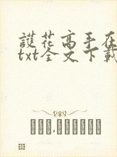 护花高手在都市txt全文下载