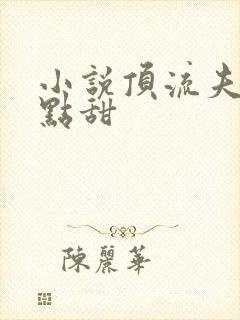 小说顶流夫妇有点甜