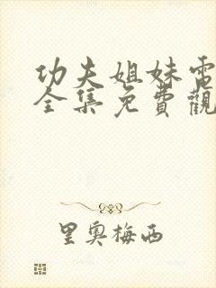 功夫姐妹电视剧全集免费观看高清