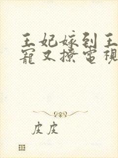 王妃嫁到王爷又宠又撩电视剧