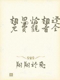 相思恰相逢短剧免费观看全集