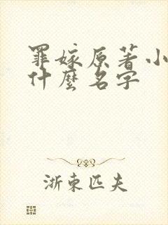 罪嫁原著小说叫什么名字