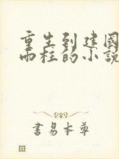 重生到建国前何雨柱的小说