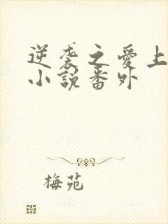 逆袭之爱上情敌小说番外