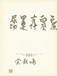 尿里有白色沉淀物是什么原因