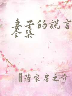 妻子的谎言免费全集