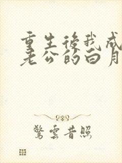 重生后我成了渣老公的白月光