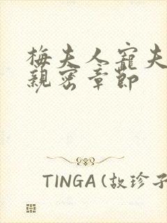 梅夫人宠夫日常亲密章节