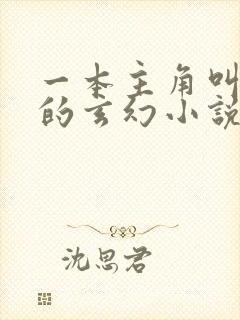 一本主角叫林立的玄幻小说