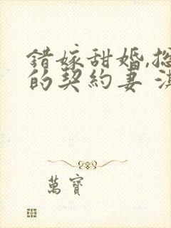 错嫁甜婚,总裁的契约妻 淇沅