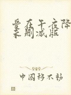 爱在午夜降临前未删减版