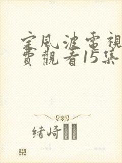 定风波电视剧免费观看15集