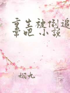 重生被倒追很正常吧 小说