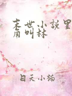 末世小说里面主角叫林