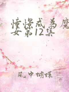 憧憬成为魔法少女第12集