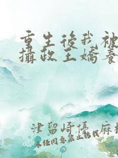 重生后我被反派摄政王娇养了