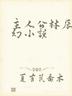 主人公林辰的玄幻小说