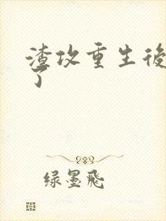 渣攻重生后放手了