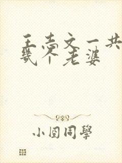 王志文一共娶了几个老婆