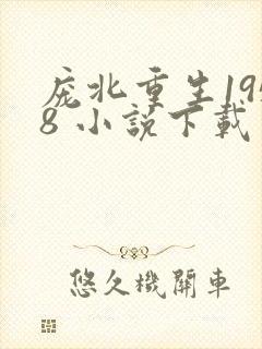 庞北重生1958 小说下载