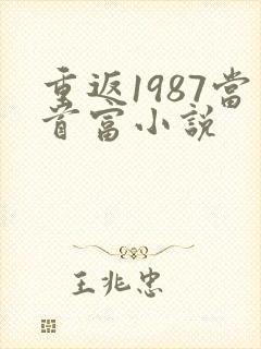 重返1987当首富小说