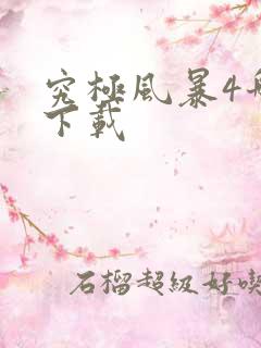 究极风暴4哪里下载