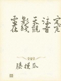 电影天注定高清在线观看完整版