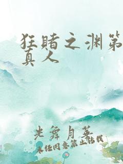 狂赌之渊第二季真人