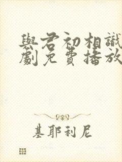 与君初相识电视剧免费播放在线观看